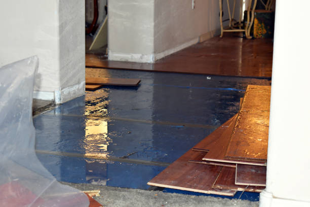 Professional Basement Flood Cleanup technician working in Westport, WA
